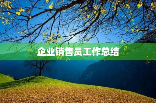 企业销售员工作总结
