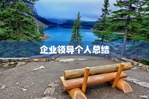 企业领导个人总结