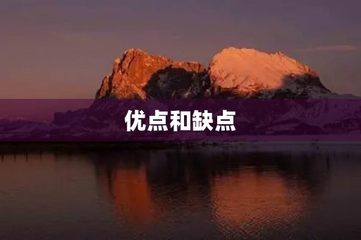 优点和缺点 优点和缺点