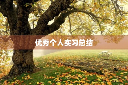 优秀个人实习总结 优秀个人实习总结