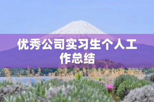 优秀公司实习生个人工作总结 优秀公司实习生个人工作总结