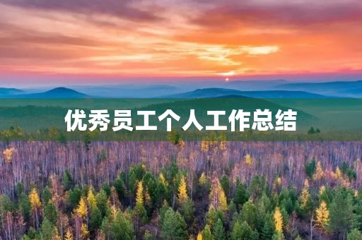 优秀员工个人工作总结