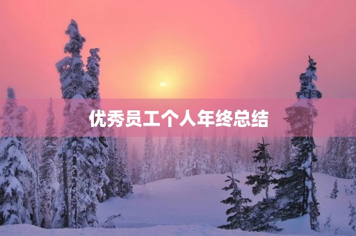 优秀员工个人年终总结