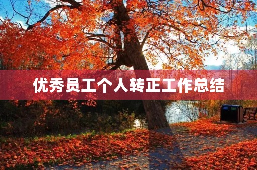 优秀员工个人转正工作总结