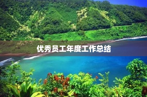 优秀员工年度工作总结