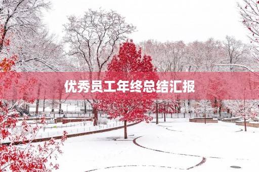 优秀员工年终总结汇报 优秀员工年终总结汇报