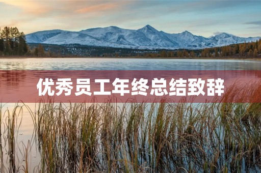 优秀员工年终总结致辞 优秀员工年终总结致辞