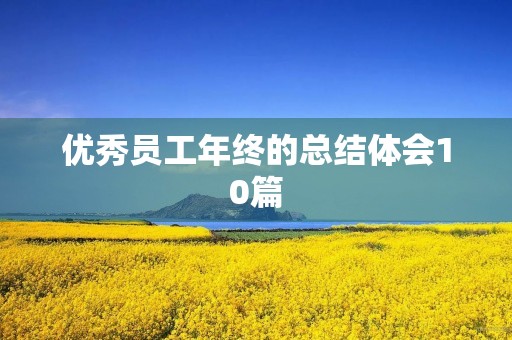 优秀员工年终的总结体会10篇