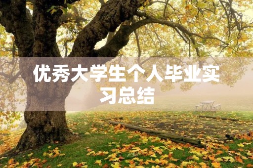 优秀大学生个人毕业实习总结