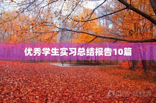 优秀学生实习总结报告10篇