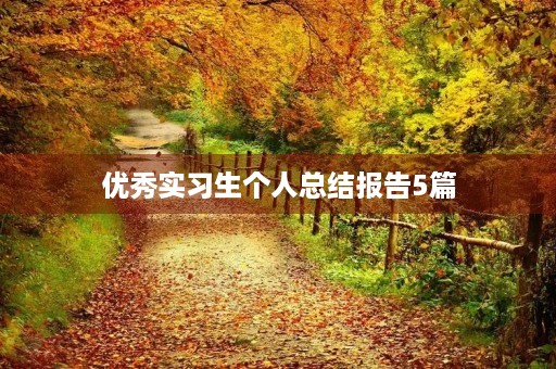 优秀实习生个人总结报告5篇 优秀实习生个人总结报告5篇
