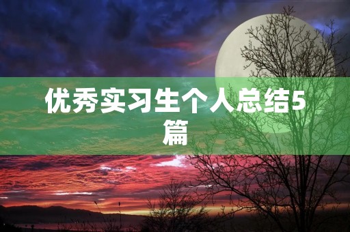 优秀实习生个人总结5篇 优秀实习生个人总结5篇