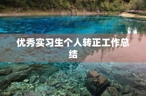 优秀实习生个人转正工作总结