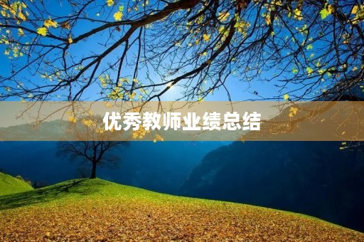 优秀教师业绩总结