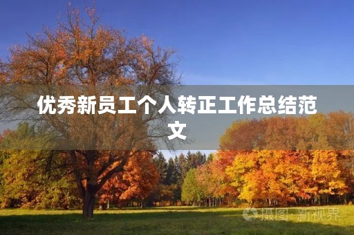 优秀新员工个人转正工作总结范文