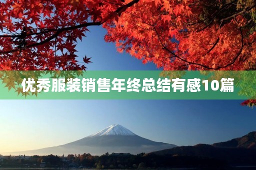 优秀服装销售年终总结有感10篇