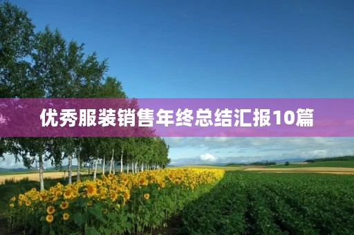 优秀服装销售年终总结汇报10篇