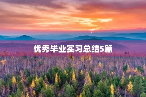 优秀毕业实习总结5篇 优秀毕业实习总结5篇