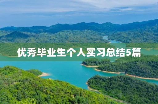 优秀毕业生个人实习总结5篇
