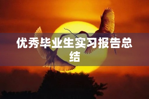优秀毕业生实习报告总结