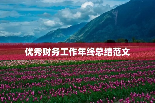 优秀财务工作年终总结范文 优秀财务工作年终总结范文
