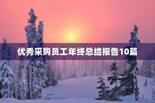 优秀采购员工年终总结报告10篇 优秀采购员工年终总结报告10篇