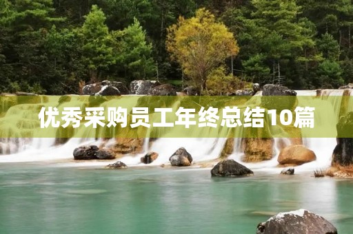 优秀采购员工年终总结10篇 优秀采购员工年终总结10篇