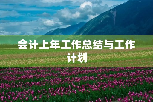 会计上年工作总结与工作计划