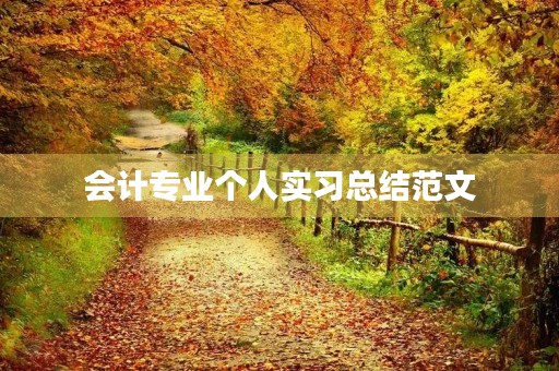 会计专业个人实习总结范文 会计专业个人实习总结范文