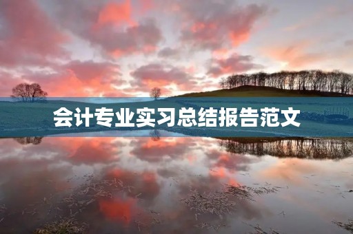 会计专业实习总结报告范文