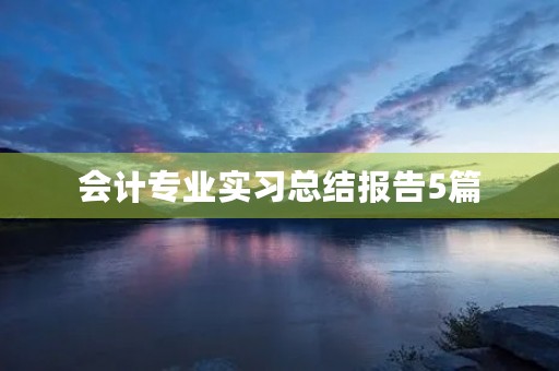 会计专业实习总结报告5篇