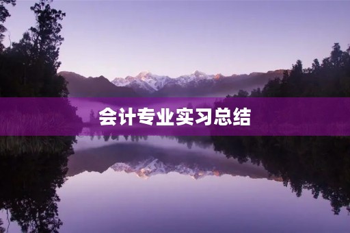 会计专业实习总结
