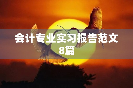 会计专业实习报告范文8篇