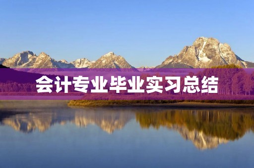 会计专业毕业实习总结