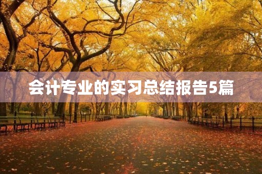 会计专业的实习总结报告5篇