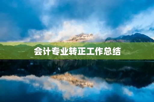 会计专业转正工作总结