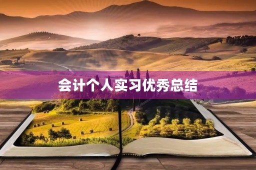会计个人实习优秀总结