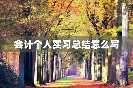 会计个人实习总结怎么写