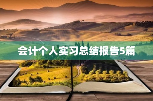 会计个人实习总结报告5篇 会计个人实习总结报告5篇