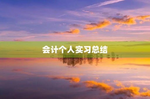 会计个人实习总结