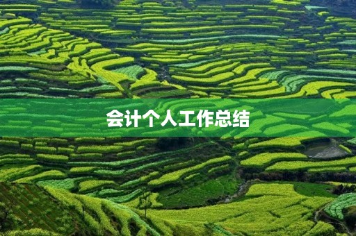 会计个人工作总结