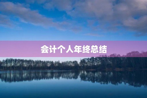 会计个人年终总结