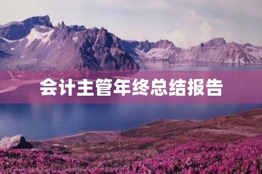 会计主管年终总结报告 会计主管年终总结报告