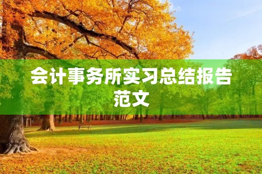 会计事务所实习总结报告范文