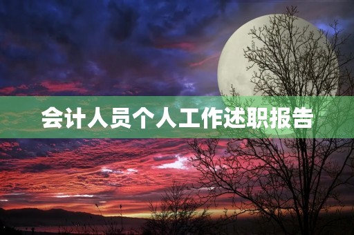 会计人员个人工作述职报告