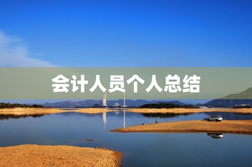 会计人员个人总结