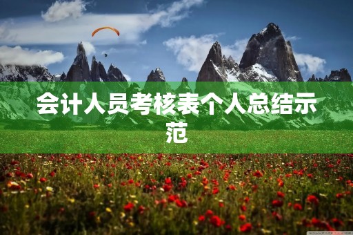 会计人员考核表个人总结示范