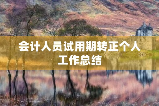 会计人员试用期转正个人工作总结