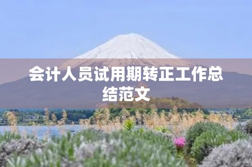 会计人员试用期转正工作总结范文