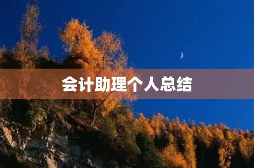 会计助理个人总结